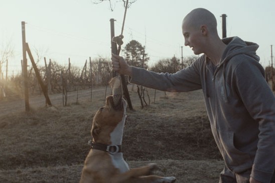 My Dog Killer persigue la nominación al Oscar