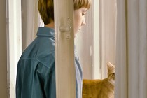 La ligera Strange Little Cat narra la vida de una familia con mucha ternura