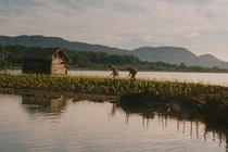 Corn Island: la vida en un río (a veces tranquilo)