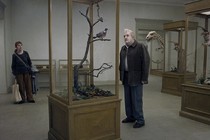 Un piccione seduto su un ramo riflette sull'esistenza: la camera del pittore