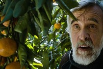 Tangerines devient le tout premier film balte à être nominé pour un Oscar