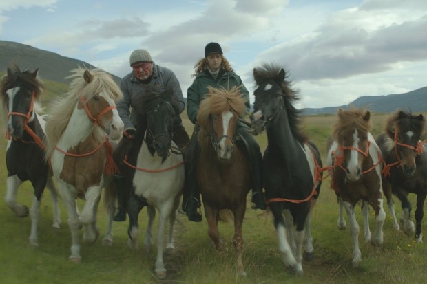 Des chevaux et des hommes gagne le Prix de cinéma du Conseil nordique