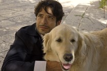 Italo : histoire d'un chien devenu un héros