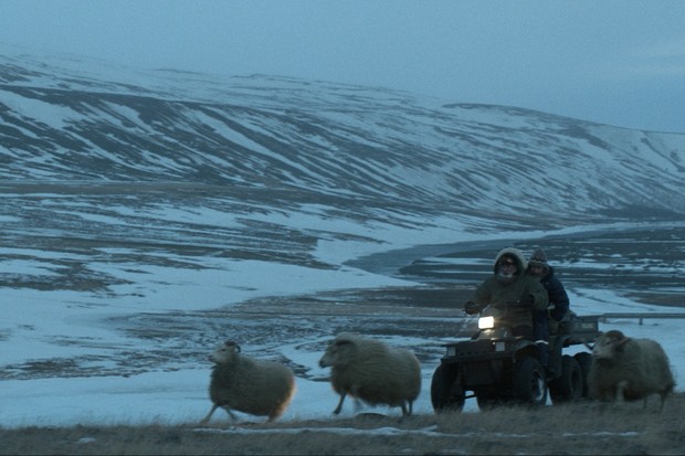 Trionfante a Cannes, l'islandese Rams conquista il mondo