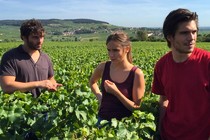 Cédric Klapisch finishes the first grape-harvests for Le vin et le vent