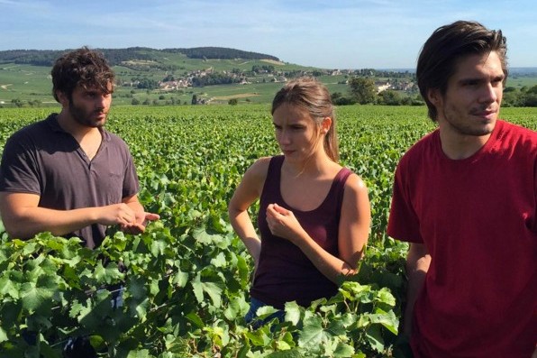 Premières vendanges pour Le vin et le vent de Cédric Klapisch