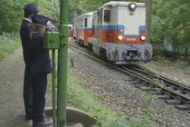 Train to Adulthood primé au DOK Leipzig