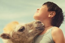 Celestial Camel wins the Olympia Film Festival