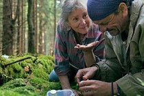 Spoor: un lupo per l’uomo