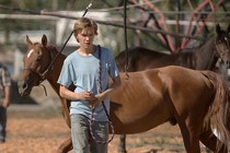 Lean on Pete: Beating a dead horse