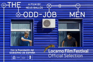 SEIS DÍAS CORRIENTES flamingo comm