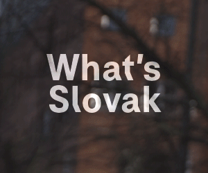 slovakia_karlovy-vary-2025