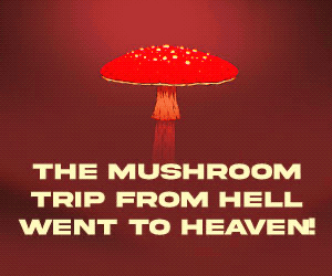 dogofgodfilm_vassilis