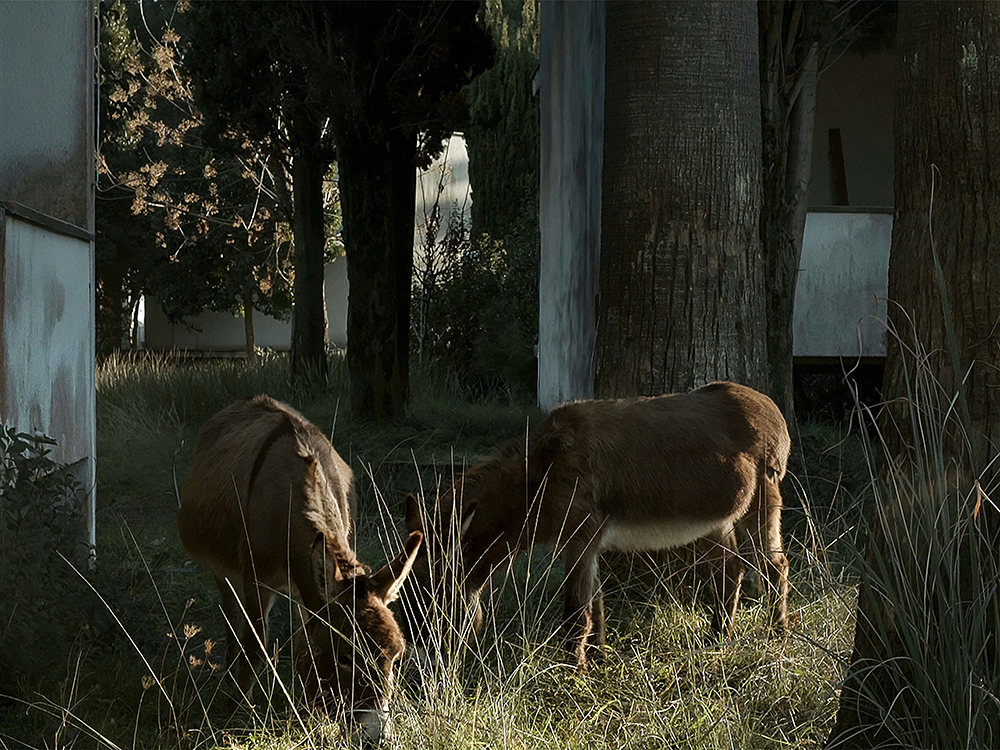 All the Cities of the North Where the personal and the collective