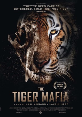 The Tiger Mafia - Cineuropa