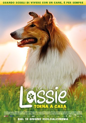 Lassie Come Home (Lassie - Eine abenteuerliche Reise) - Cineuropa