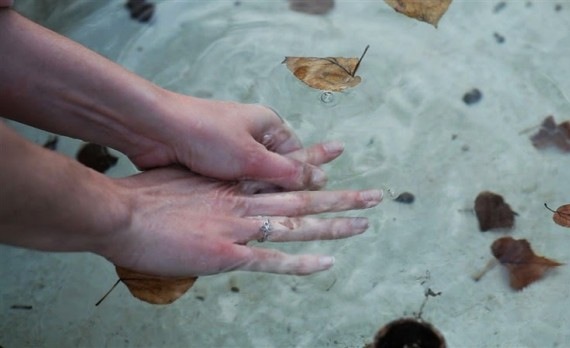 Goodbye to Language: De la naturaleza y las metáforas