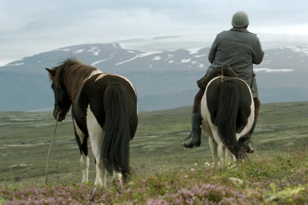 FILM FOCUS: Of Horse and Men