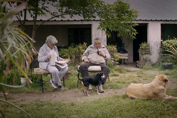 Pepe Mujica - Lessons from the Flowerbed, in the footsteps of the extraordinary Pepe