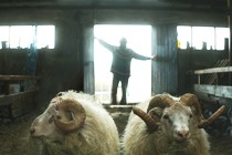 Rams, de Islandia a la Croisette a pesar de su enfermedad