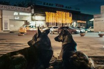 EXCLUSIVE: Trailer and clip for Elsa Kremser & Levin Peter's Space Dogs