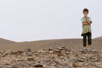 Critique : The Miracle of the Little Prince