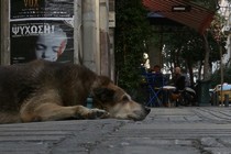 El 22° Festival de Documentales de Tesalónica se pasa a internet