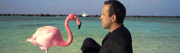 The Mystery of the Pink Flamingo