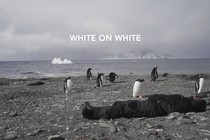 White on White