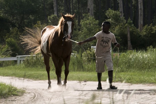 Critique : Sapelo