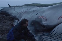 From the Wild Sea