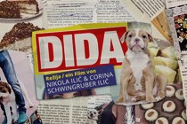Dida