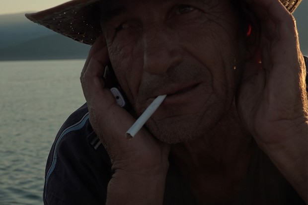 Review: Looking for Horses