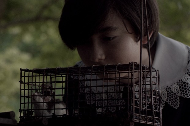 Recensione: Cruel Peter