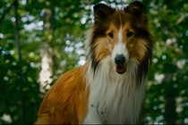 Lassie Come Home