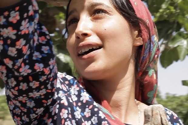 Final Cut in Venice announces its six titles selected for 2021