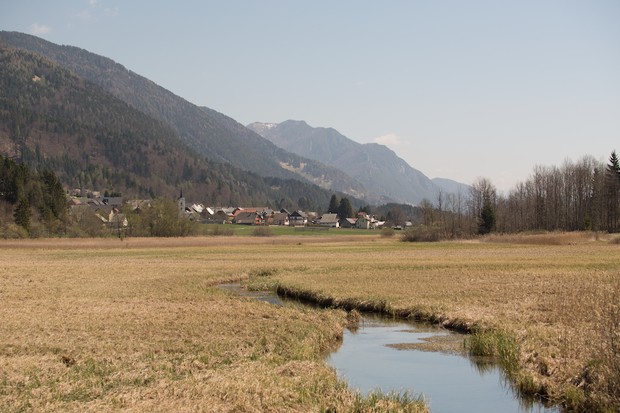 Review: Sava