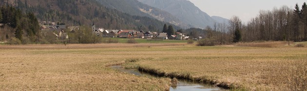 Sava