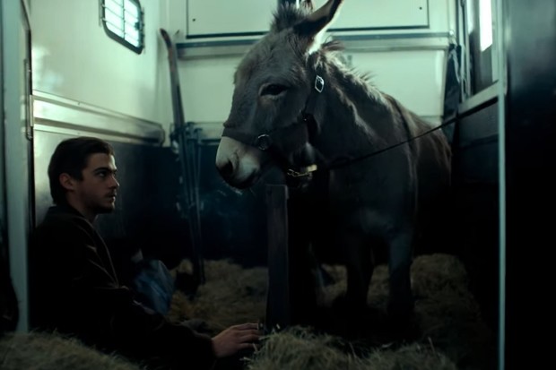 Jerzy Skolimowski’s EO to open the 22nd New Horizons International Film Festival