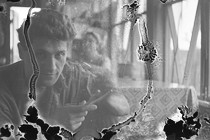 Fragile Memory