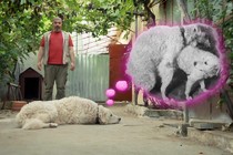 Review: Whose Dog Am I?