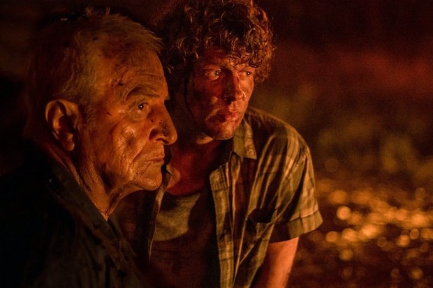 Review: The Blaze