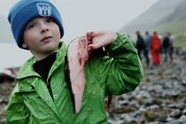 A Taste of Whale