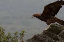 Iberia, naturaleza infinita