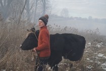 EXCLUSIVA: La película colectiva ucraniana War Through the Eyes of Animals, en desarrollo