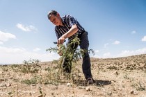 El Festival Internacional de Cine de Sofía presenta una nueva edición con una temática medioambiental