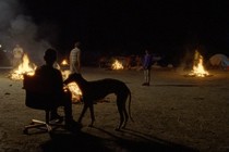 Cannes anuncia los cortometrajes que lucharán por la Palma de Oro