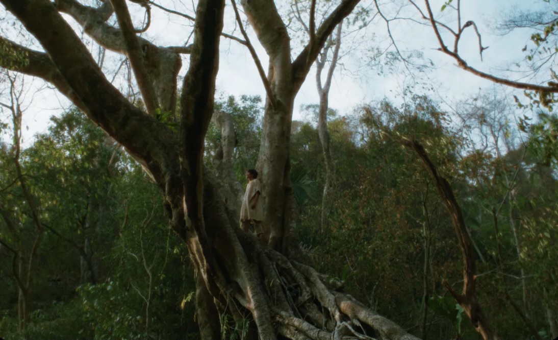 15 films we're looking forward to at the 2023 Cannes Film Festival - Vimarsana News
