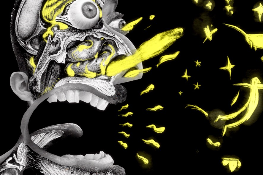 GoCritic! Feature: Anča in Wonderland - Vimarsana News