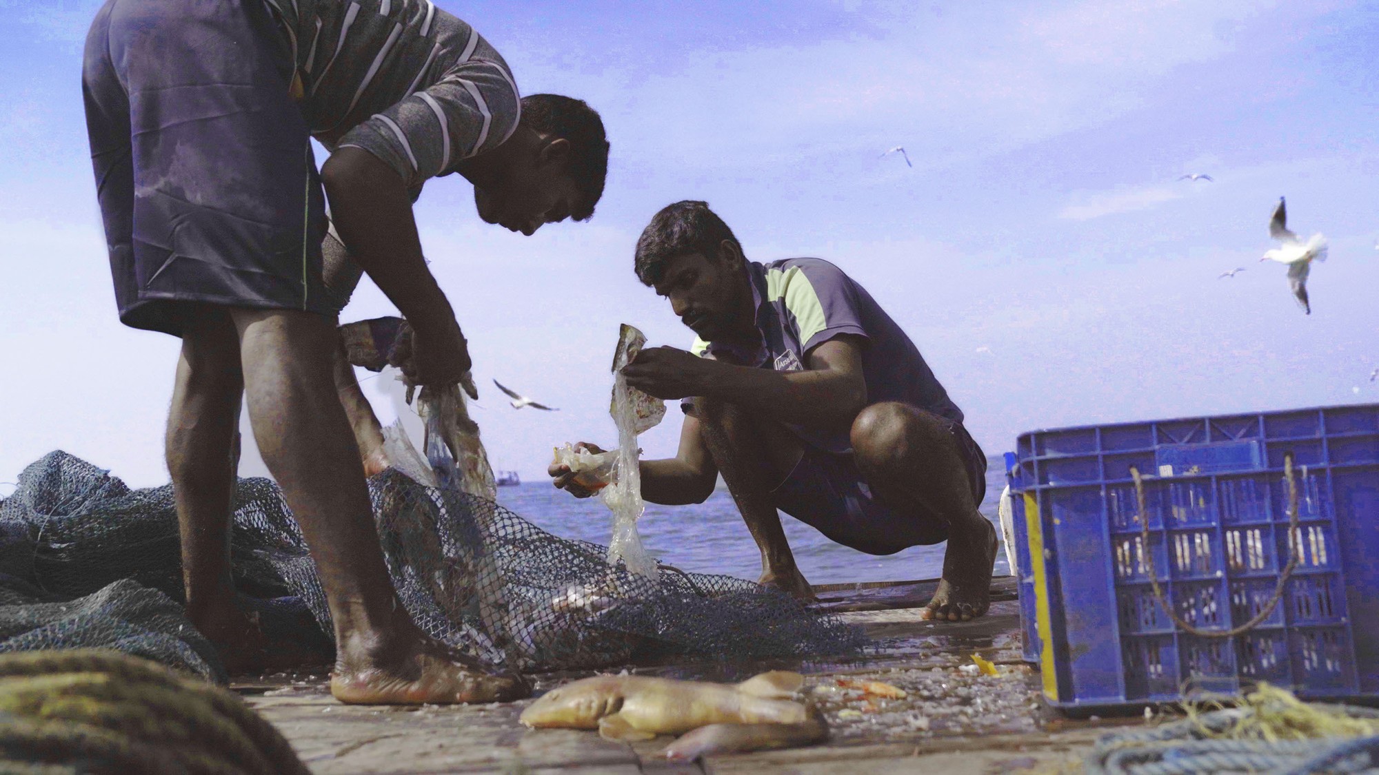 Sarvnik Kaur's Against the Tide is crowned Best Feature at IceDocs - Vimarsana News